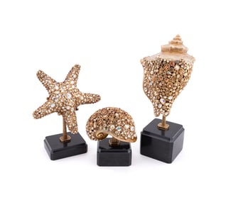 JAY STRONGWATER, THREE SHELLS ON STANDS