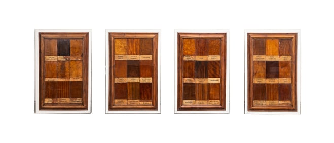 GROUP OF LARGE FRAMED ANTIQUE WOOD SAMPLES