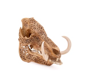 ELABORATELY CARVED AFRICAN WARTHOG SKULL