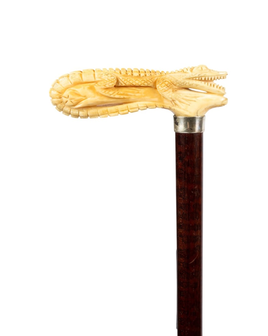 AMERICAN ALLIGATOR HANDLE WALKING CANE, C. 1885: American, circa 1885. Walking cane with carved bone full alligator handle with tail curled under log, sterling silver collar, snakewood shaft, and brass and aged iron ferrule. Approximate measurements