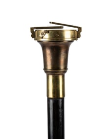 GERMAN WORLD WAR I REGIMENTAL COMPASS CANE