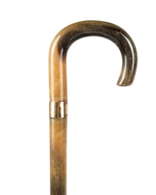 19TH C. ENGLISH HORN CANE WITH GOLD COLLAR