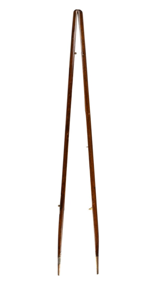 19TH C. AMERICAN SERGEANT MAJOR'S MARCHING CANE (1 of 5)