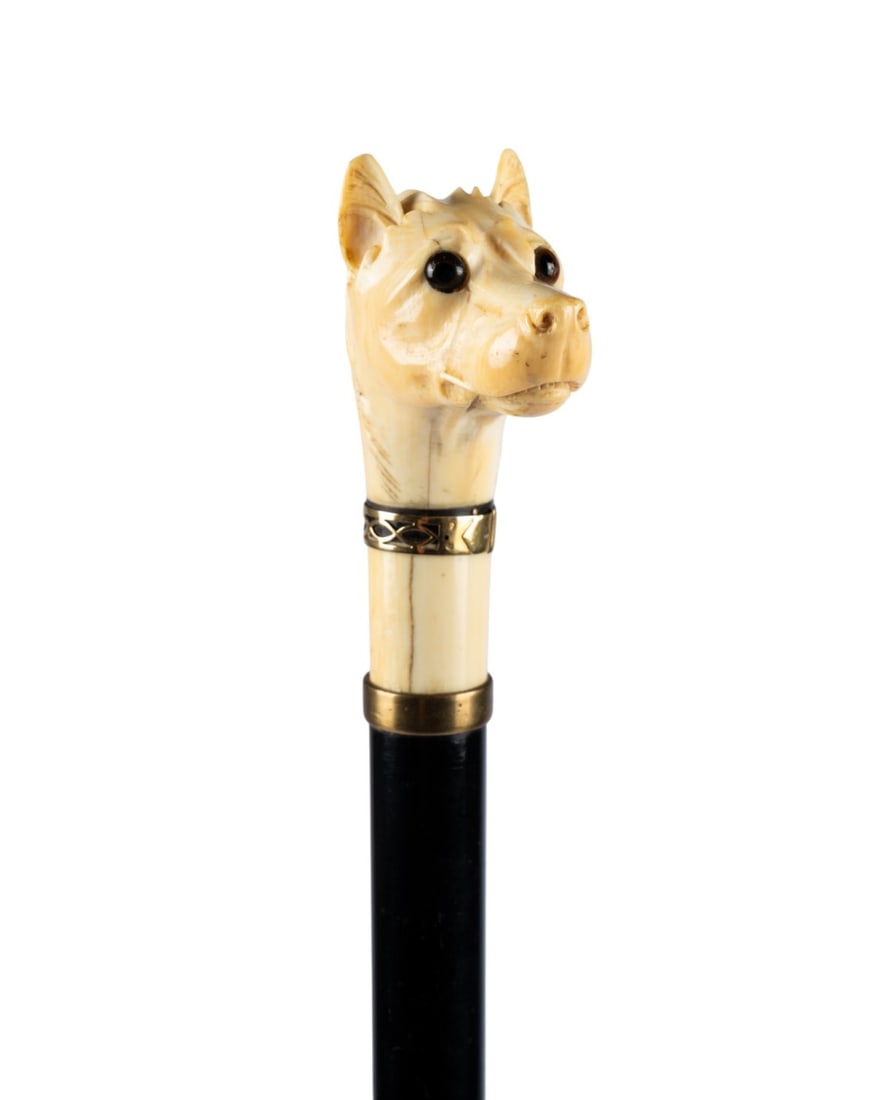 19TH C. ENGLISH DOG HEAD HANDLE CANE: English, circa 1890. Walking cane with carved dog head and neck handle with pointed ears and gold-plated buckle collar above metal collar, ebonized hardwood shaft, and iron ferrule. Approximate measur