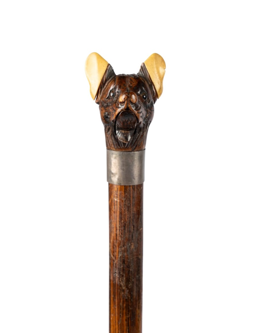 19TH C. ENGLISH DOG GLOVE HOLDER CANE: English, circa 1870. Glove holder walking cane with carved beech wood dog?s head handle with glass eyes and lighter wood ears, operating lever to open mouth for gloves, silver collar, oak shaft, and t