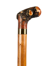 AMERICAN PETRIFIED WOOD HANDLE WALKING CANE