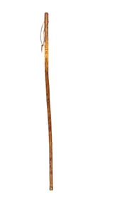 19TH C. ENGLISH HIKING CANE
