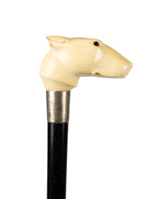 ENGLISH BULL TERRIER PRESENTATION CANE, 1904