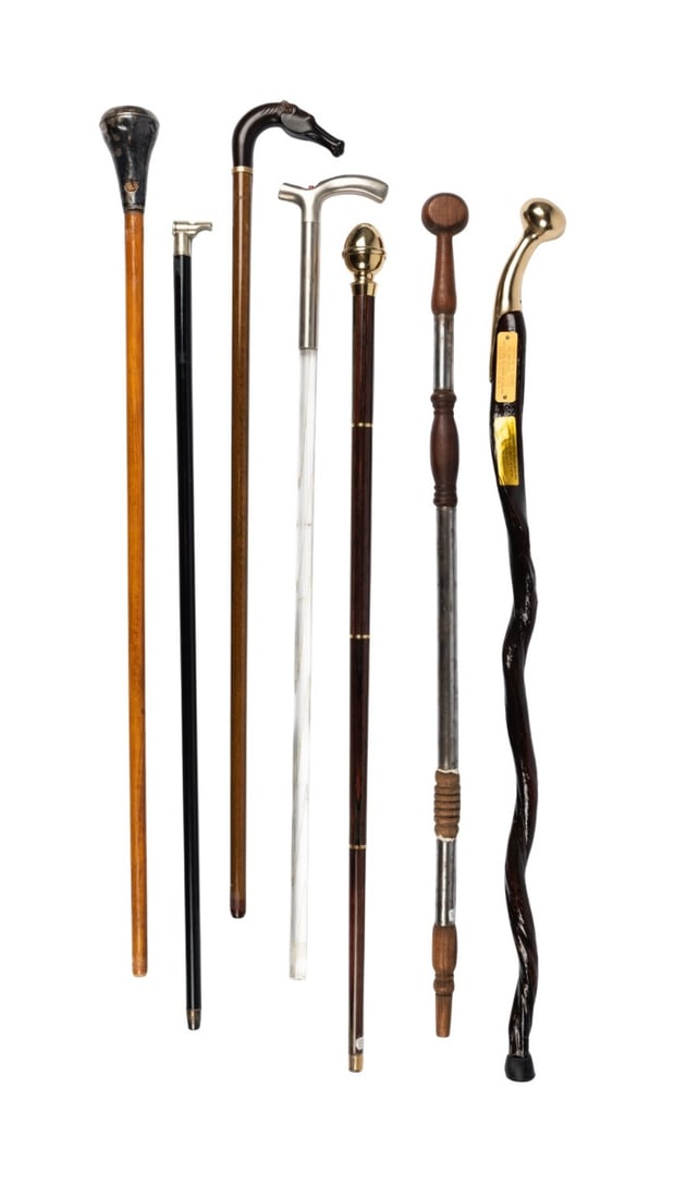 SEVEN MODERN WALKING CANES (1 of 7)