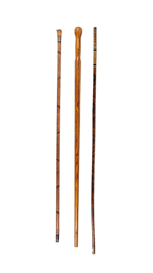 THREE STAFF WALKING CANES (1 of 6)