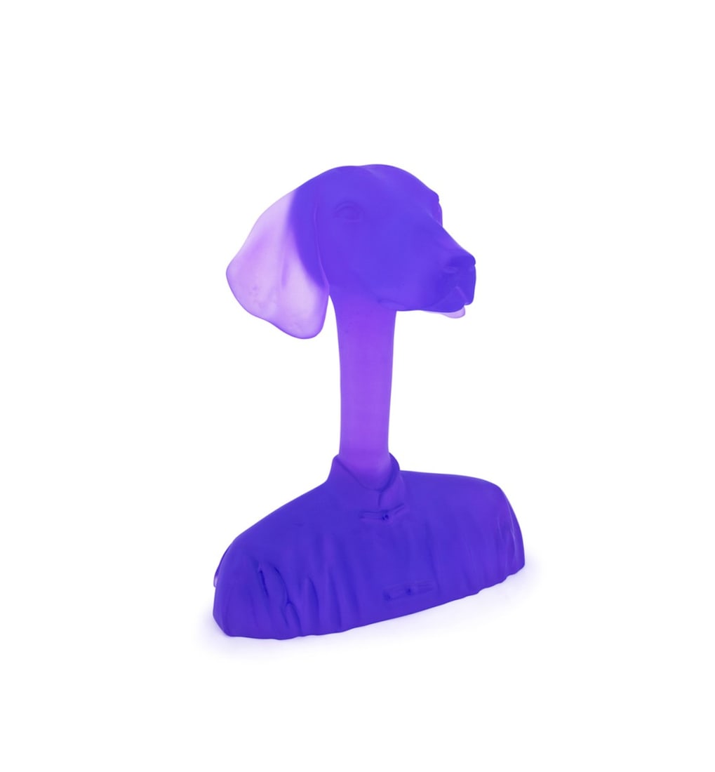 CHEN CHANGWEI FOR DAUM, 'PEOPLE BELONG TO DOG' (1 of 8)