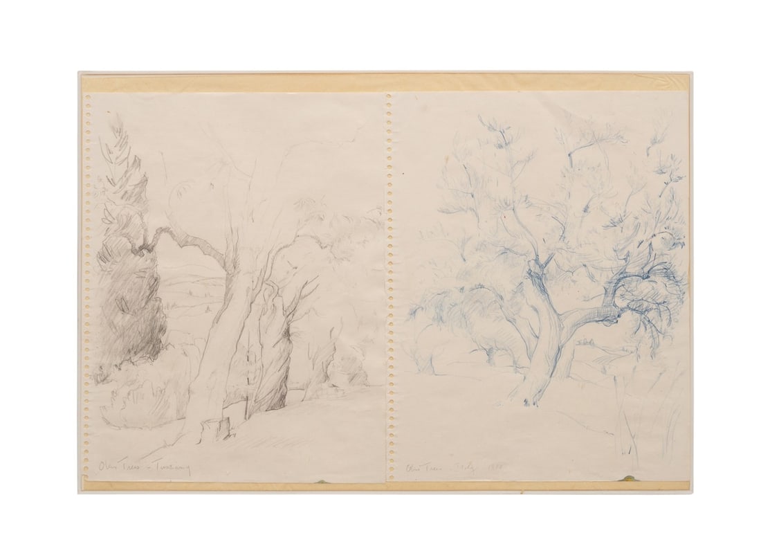 GENEVIEVE ARNOLD, STUDY OF TREES DIPTYCH: Genevieve Arnold (American (Georgia), 1928-2005). "Olive Tree - Tuscany" - pencil on paper, titled to LL; "Olive Tree - Italy" - 1928, pencil on paper, titled and dated to LL. Framed. Provenance: Priv