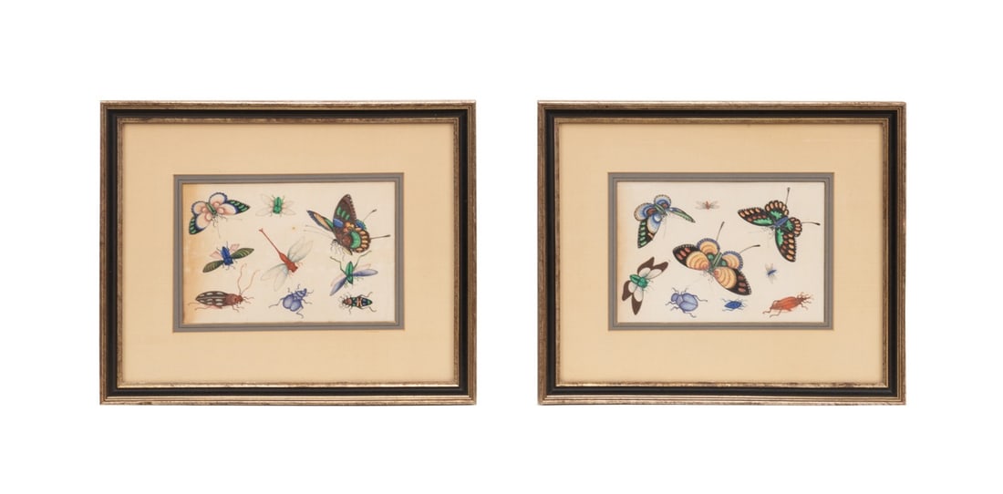 TWO 19TH C. CHINESE EXPORT PITH PAINTINGS, INSECTS: Chinese, 19th century. Pair of two Chinese Export pith paintings depicting butterflies and insects, gouache on pith paper, apparently unsigned. Framed. Provenance: Estate of Scott Hudgens and Jacqueli