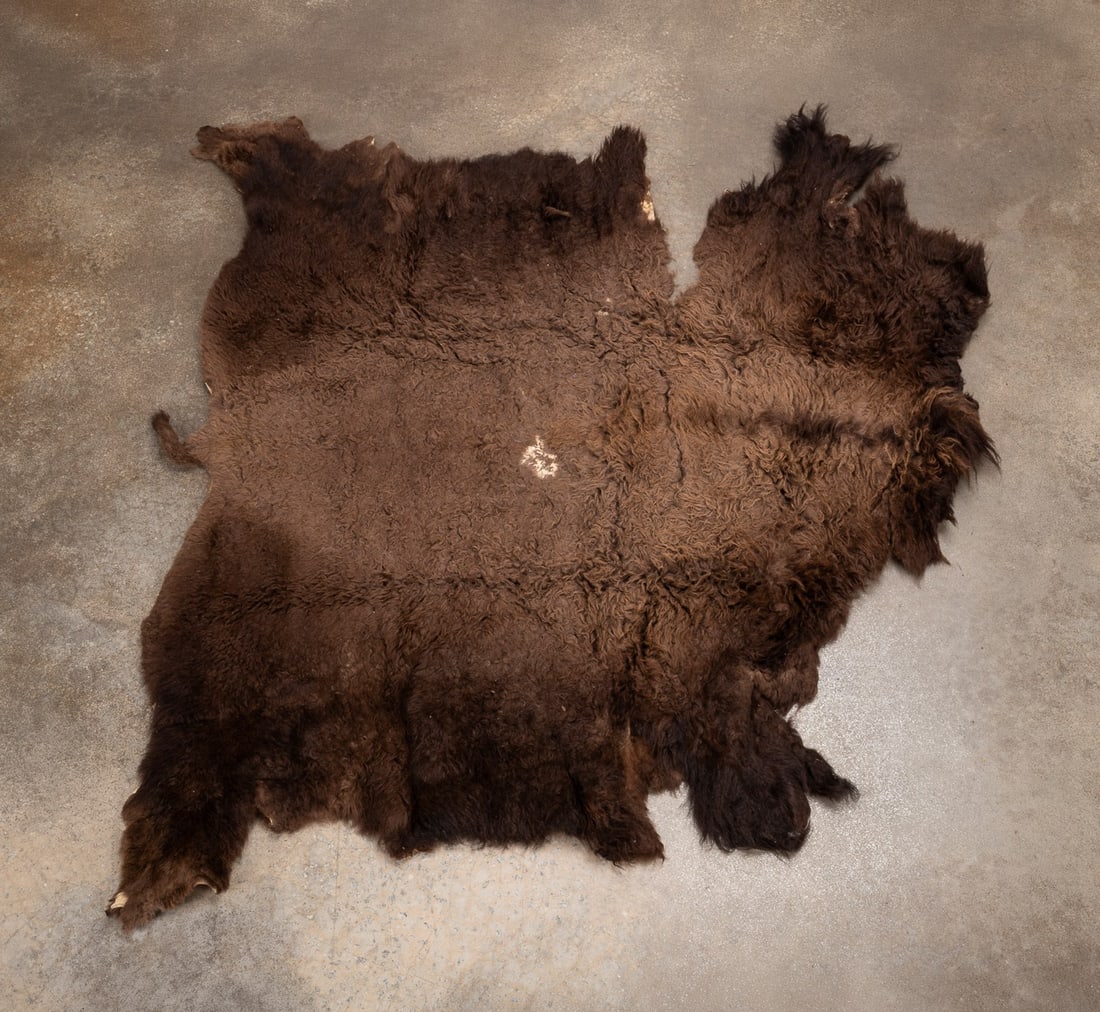 NATURAL BUFFALO OR BISON HIDE THROW OR RUG (1 of 4)