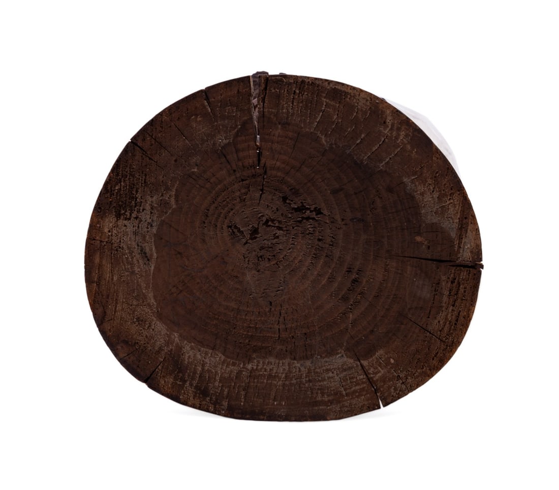 CARVED BLACK FOREST COMPOTE WITH MONKEY - 6