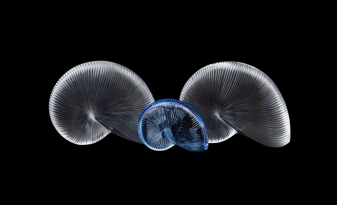 BACCARAT, THREE 'NAUTILUS' SHELL PAPERWEIGHTS (1 of 9)