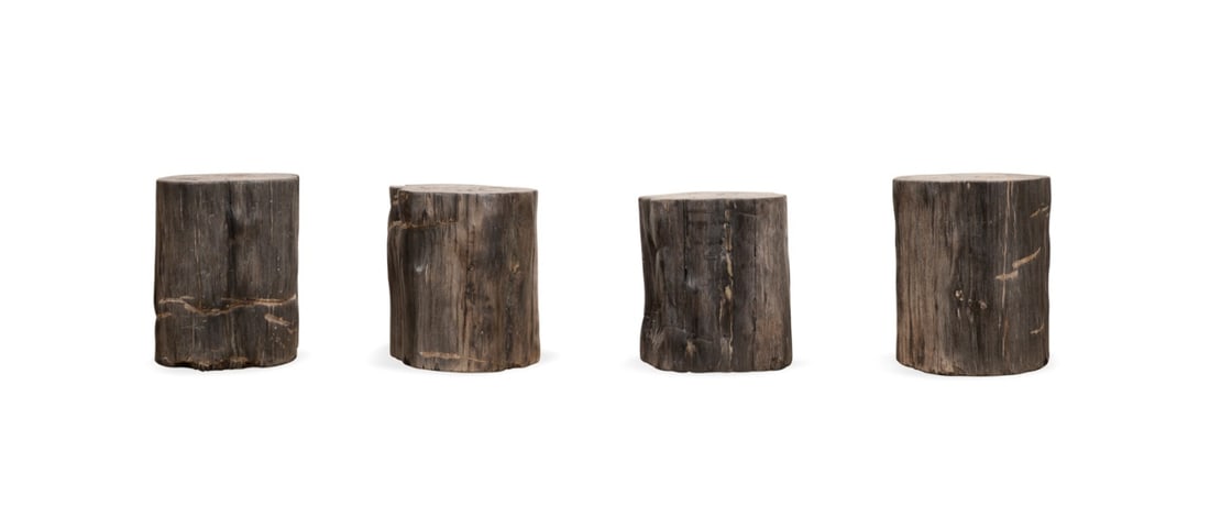 FOUR PRIMITIVE (CHICAGO) PETRIFIED WOOD STOOLS (1 of 6)