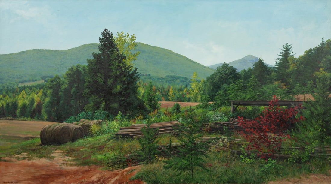 Ben Berns, "Spots Fields", 1982, Large O/C - 6