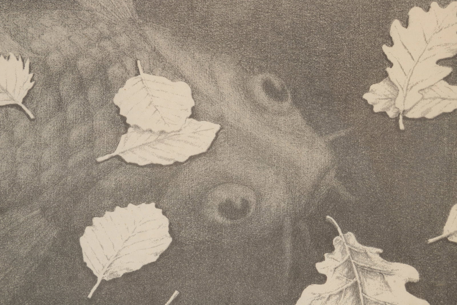 M.C. Escher, "Three Worlds", Offset Litho - 5