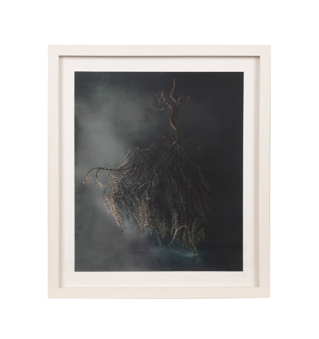 Diane Hughes, "Rosemary", 2009, Photo: Diane Hughes American, born 1965 "Rosemary" - 2009 Pigment ink print Apparently unsigned to recto, signed, dated, titled, and numbered 1/5 on note to verso. Framed. Sheet: 29 5/8 x 25 in. (75.2 x