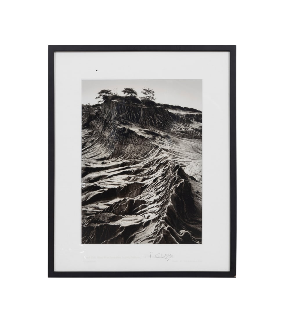 P. Rittermann, "Eroded Cliffs", 2004, Photograph: Philipp Scholz Rittermann Peruvian-German/American, born 1955 "Eroded Cliffs, Torrey Pines State Park, La Jolla, CA, USA, 2001" - 2004 Giclee photographic print Titled, signed, and numbered 39/100 to