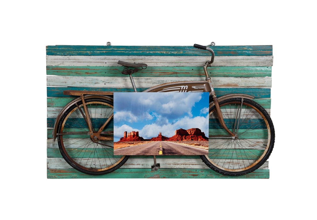 Chris Mason, Mixed Media Bicycle Assemblage (1 of 4)