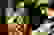 item-20252476=4