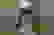 item-21333211=5