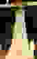 item-21351360=2