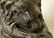 Patinated Bronze Lion Sculpture - 3