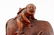 Carved Oriental Wood Bull Figural Sculpture - 4