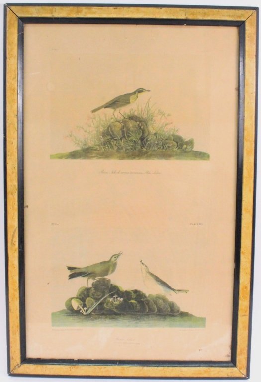 19th C. Chromolith by Bien After Audubon: After John James Audubon (French/American 1785-1851), Chromolithograph print "Prairie Titlark (Plate No. 150) and "Brown Titlark" (Plate No. 151) from Julius Bien's 1860 partial edition. Prairie Titla