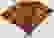 item-29117832=2