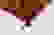 item-29117832=5