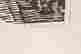 item-31743017=4