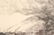 Arthur Millier "Santa Ynez River" Etching, Signed - 4