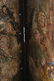 Italian Hand Painted & Embossed Leather Screen - 4