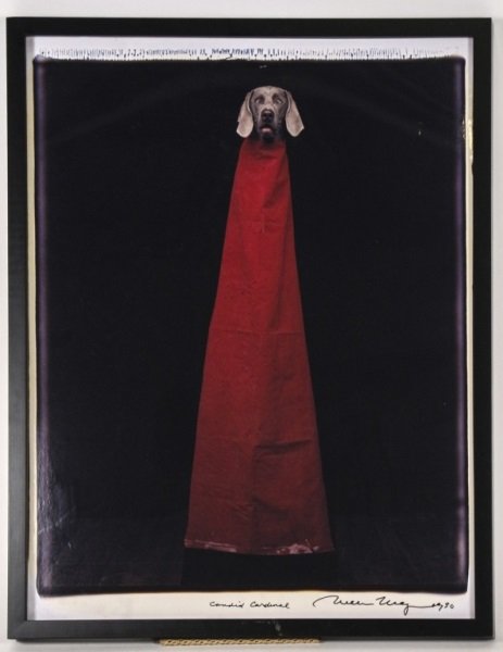 William Wegman, "Candid Cardinal" Weimaraner Photo: William Wegman (American, b. 1943-), "Candid Cardinal"-1990, unique color Polaroid print, signed and dated lower right in black ink, titled lower center in black ink. Contemporary photograph depicting