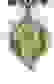 item-34001885=5
