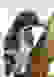item-34002619=3