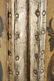 Italian Neoclassical Leather Painted Screen - 9