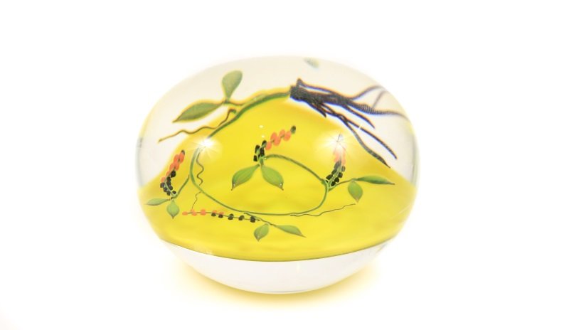 Paul Stankard Round Paper Weight w/Berried Root: American, 20th century. Paul Stankard art glass paperweight set with a thin leaf and berried root on a yellow bed and signed in cane ''S'' and numbered to the base 9/50, 04177. Height 2", diameter 2.7