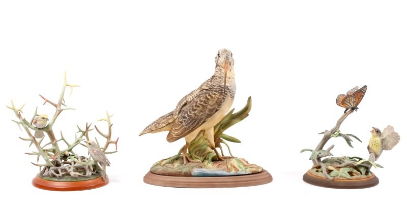 Woodcock, Verdins, Fledgling Canada Warbler- Boehm (1 of 9)