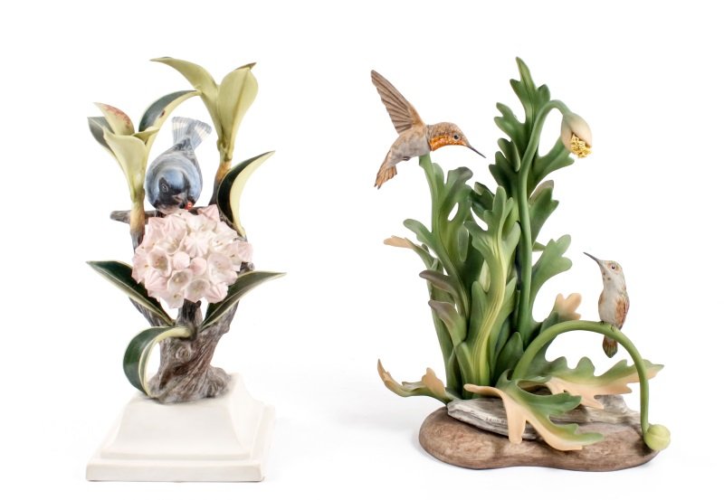 Boehm, Blue Warbler & Rufous Hummingbirds (1 of 9)