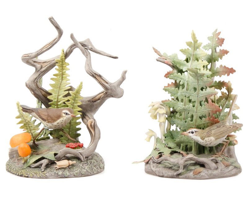 Boehm "Northern Water Thrush" and "Oven Bird" (1 of 10)