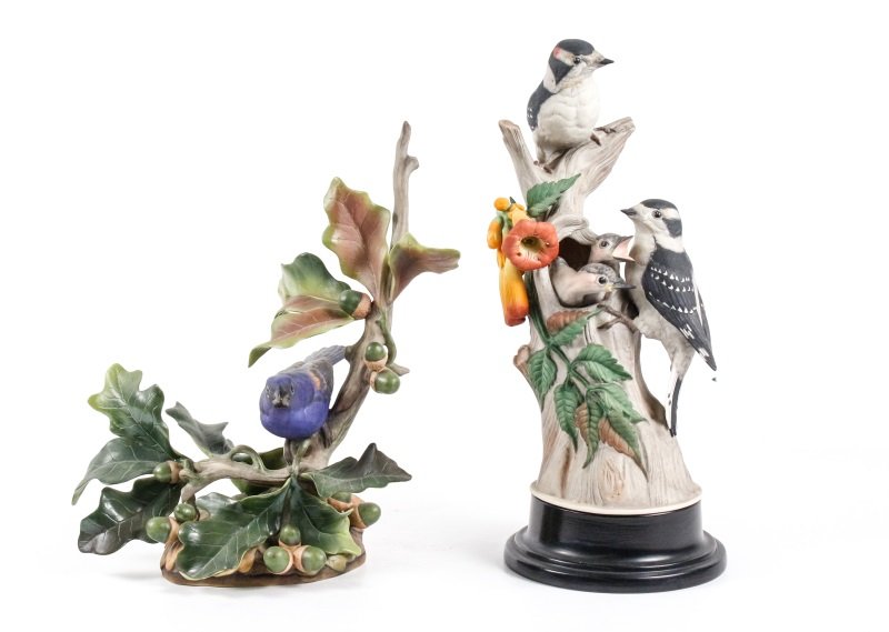 Blue Grosbeak and Downy Woodpecker, Boehm (1 of 10)