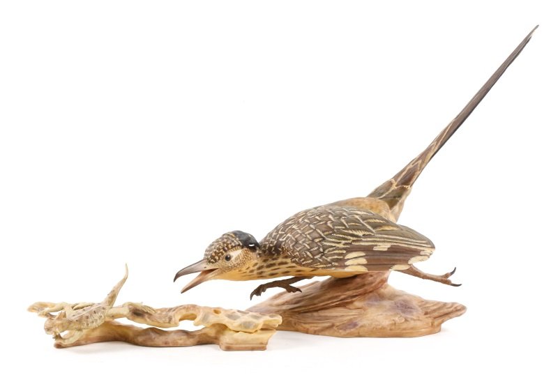 Boehm "Road Runner" (#493) and Lizard on Branch (1 of 10)