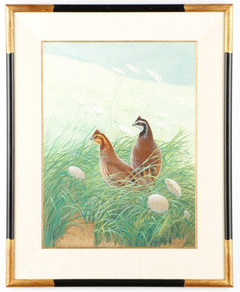 Athos Menaboni, Quail Gouache Painting, Signed (1 of 6)