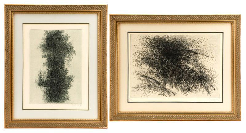 Peterdi "Wisteria" & "Angry Wave", Signed Etchings (1 of 8)
