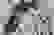 item-43040736=5
